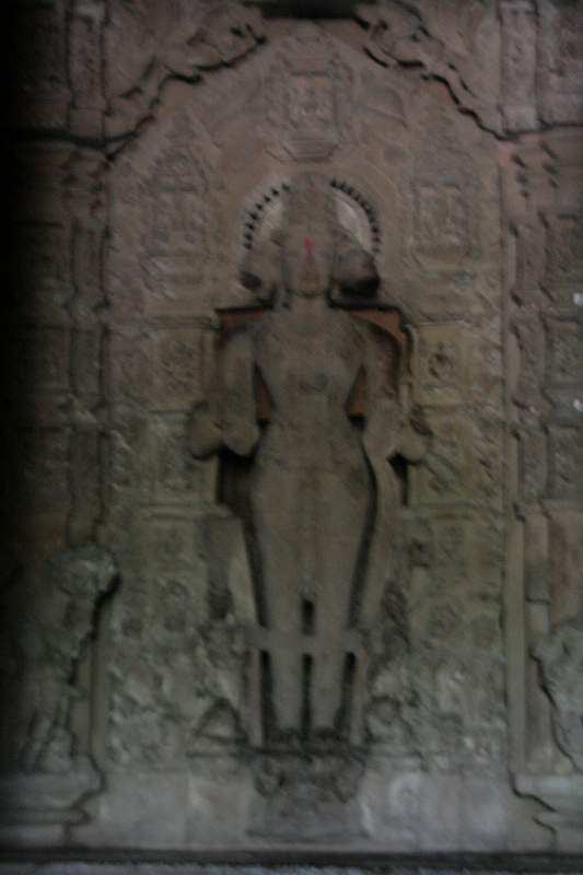 India & Nepal 2011 - 0902